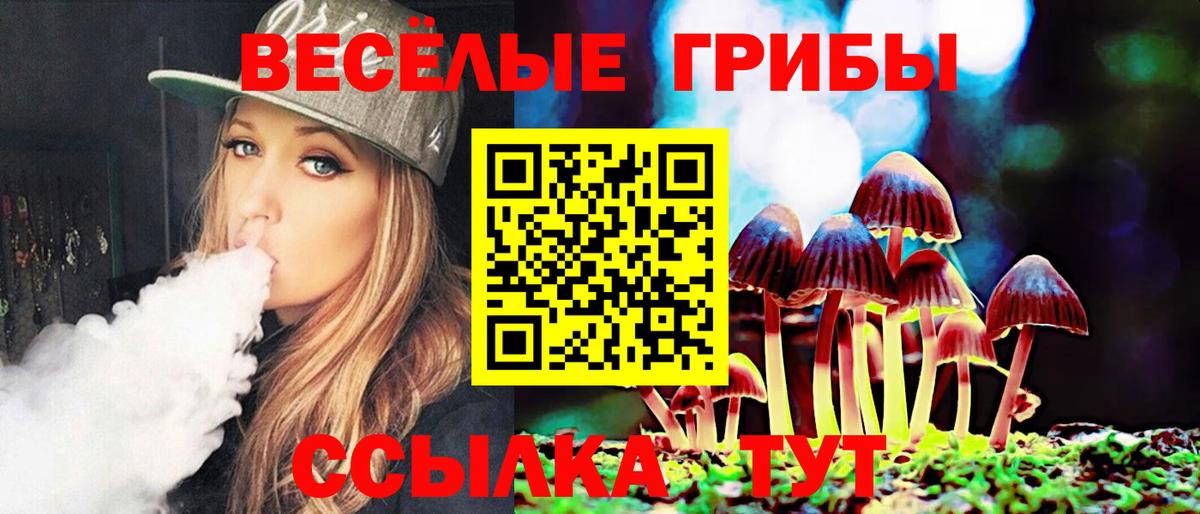 Лангепас  Псилоцибиновые грибы прущие грибы  Вход с VPN 